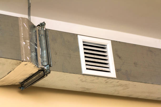 Best Affordable Duct Cleaning Services  in Gorevle, IL